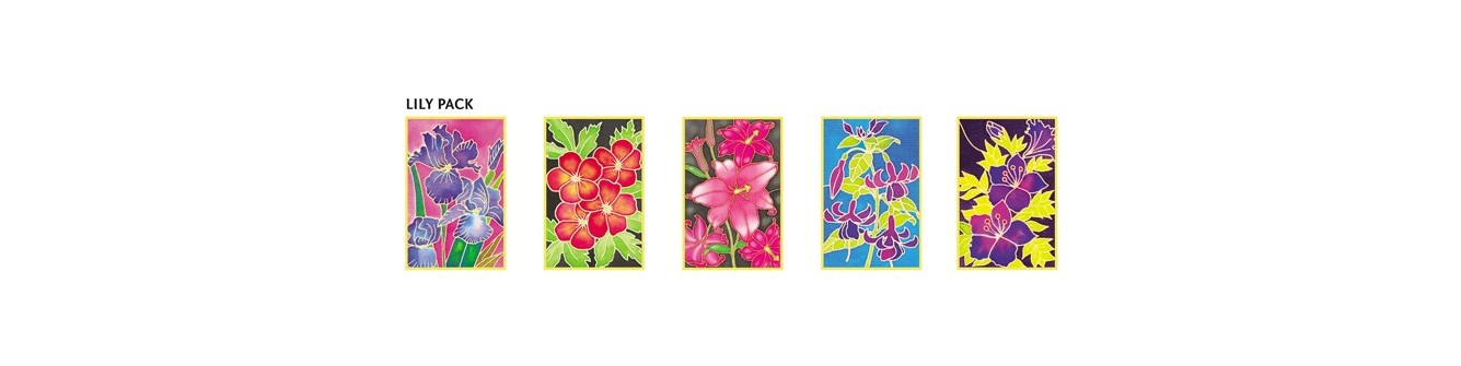 Set de 5 cartes préserties 10x15cm