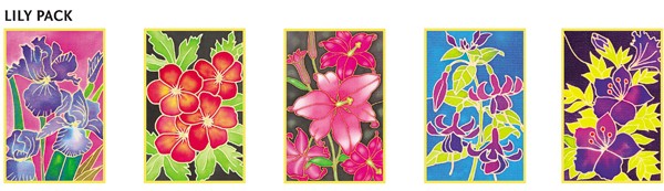 Set de 5 cartes préserties 10x15cm